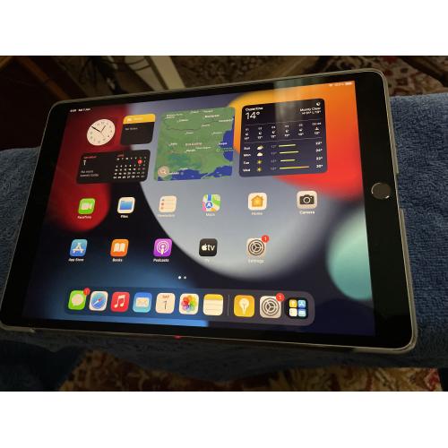 Apple iPad Pro 1st Gen. 256GB, Wi-Fi 10.5 in - Silver -A1709 